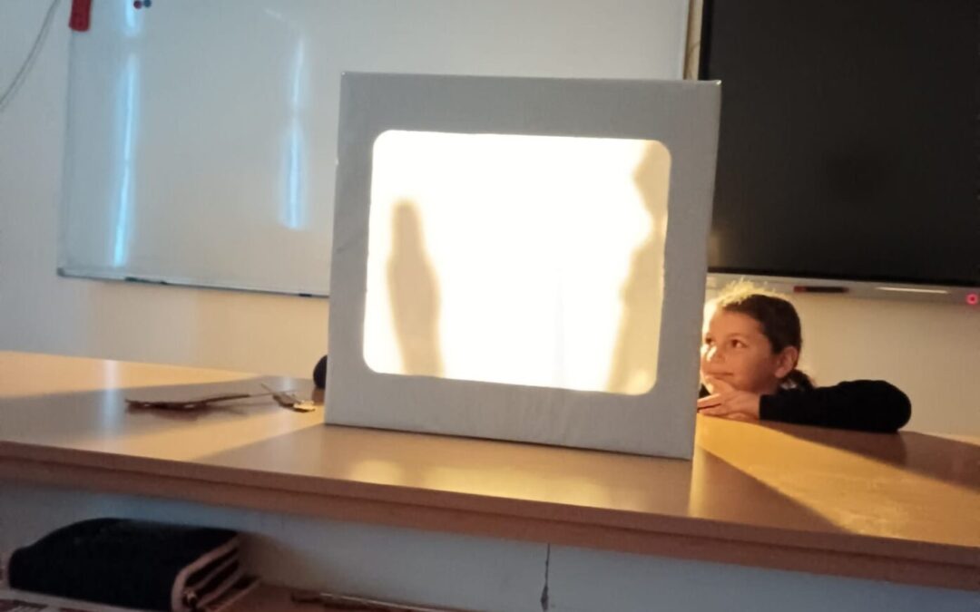 Čarobna Šuma Striborova