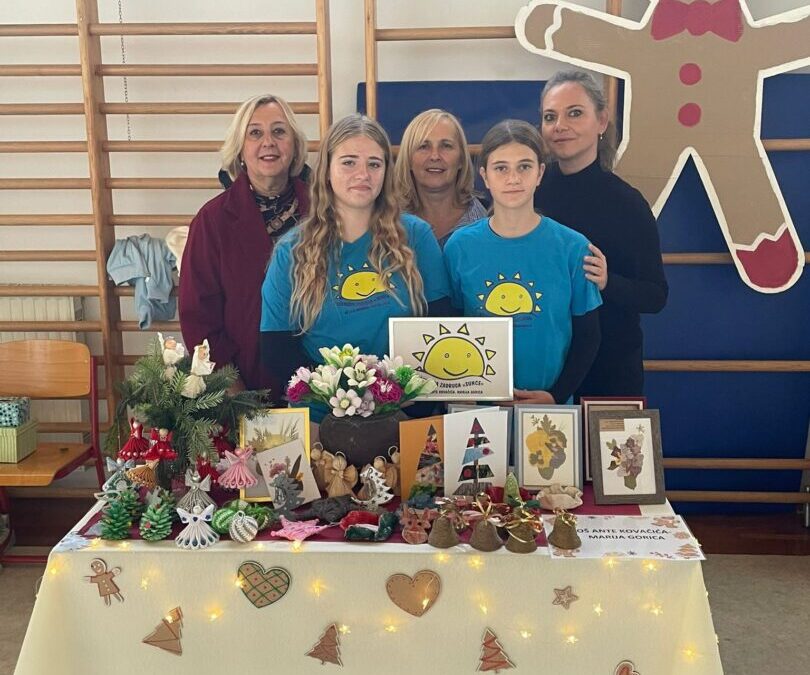 Međunarodna suradnja