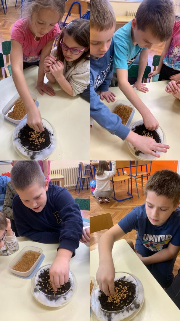 598969186_1282720833876561_8351292843647001200_n