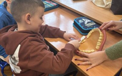 Prvašići i zubići