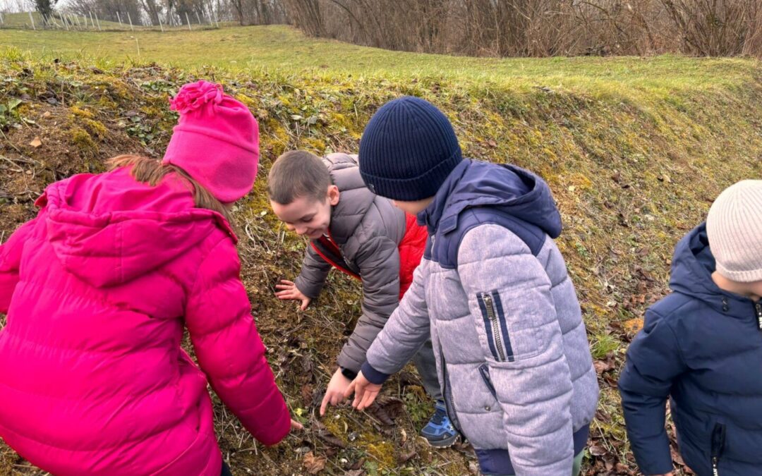 Potraga za vjesnicima proljeća