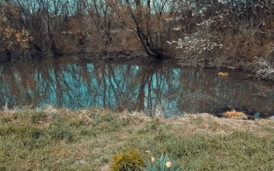 Prvi dan proljeća i Svjetski dan poezije