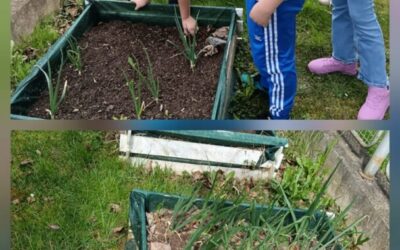 Vrijedni četvrtaši