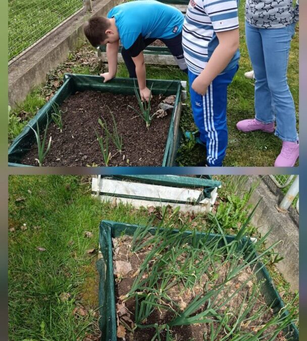 Vrijedni četvrtaši