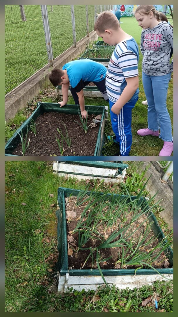 656074739_1364851085663535_4867242805671104817_n