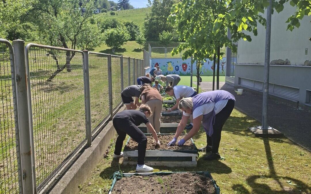 Proljetni radovi u školskom vrtu