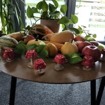 Kreativne gljivice
